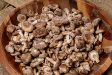 Load image into Gallery viewer, Shiitake Grow Kit