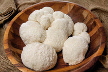 Load image into Gallery viewer, Lion's Mane Grow Kit