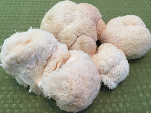 Lion's Mane Mushrooms in Garlic Butter