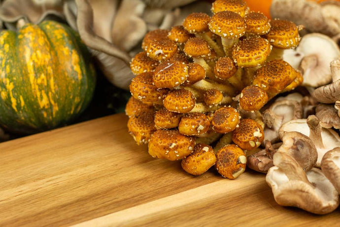 Chestnut Mushroom Stuffing