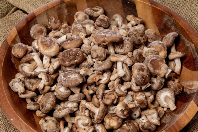 What are the Health Benefits of Shiitake Mushrooms?