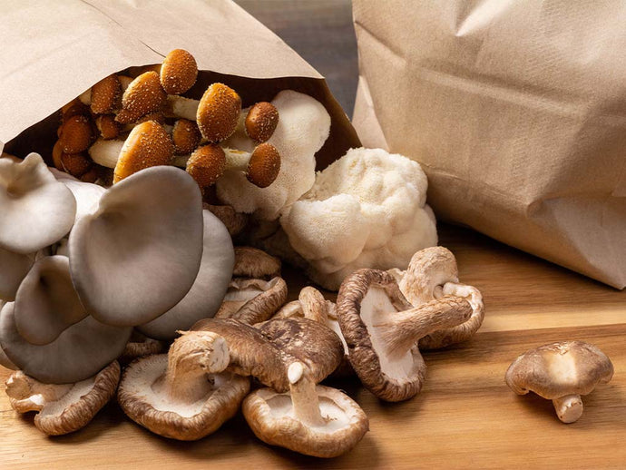 How to Store Mushrooms
